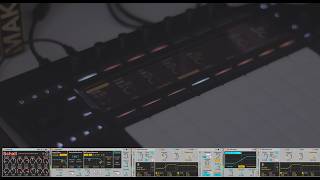 Brain Recordings Bundle for Push 3 Standalone Bundle is available