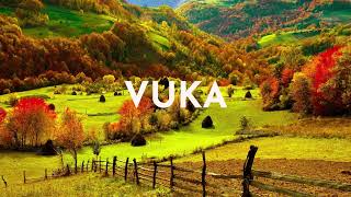 [FREE] VUKA - Kabza de small x Dj Maphorisa & Master kg [ amapiano type instrumental 2025]