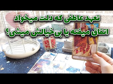 تاروت مهرگان - تعهد عاطفی که دلت میخواد اتفاق میفته یا بی‌خیالش میشی؟