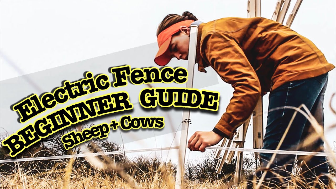 Electric Fence FAQs - Premier1Supplies