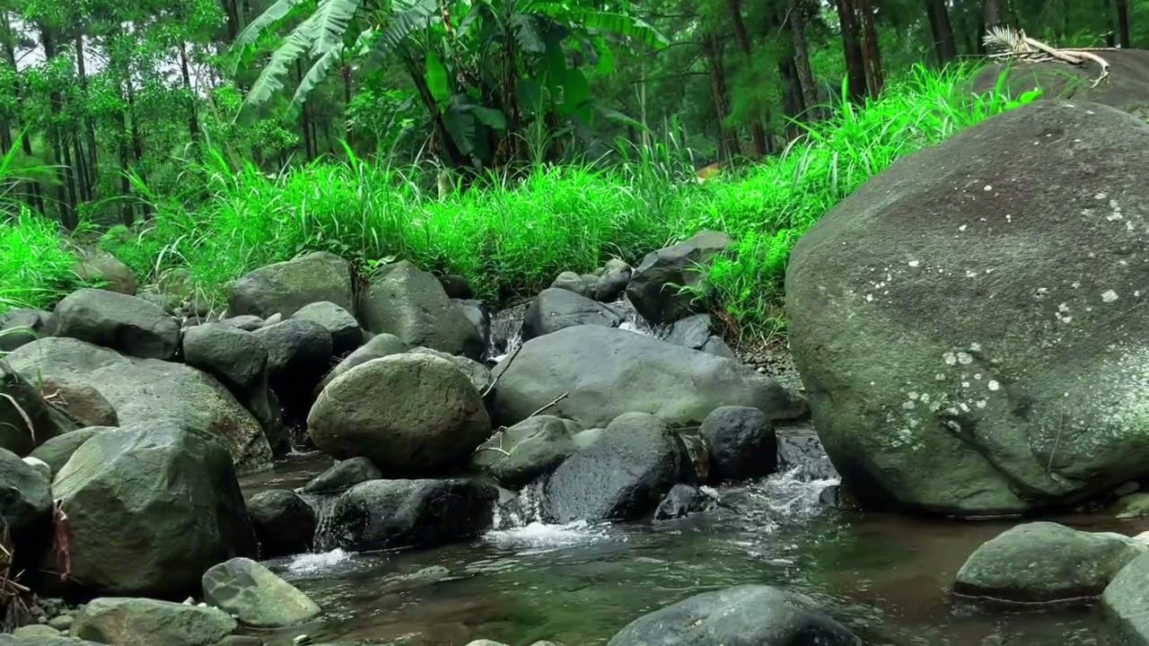Forest Stream Flowing Over Rocks | Water Sounds Relaxation for Deep Sleep & Stress Relief