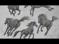 Live stream  drawing a horse