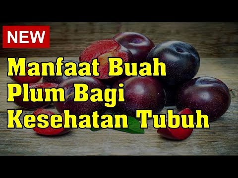 Video: Cara Mencegah Penyakit Poket Plum