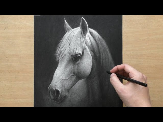 Premium AI Image  Portrait of a white horse drawing of an animal