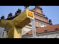 SSES 2019 Highlights SSES 2019 Highlights