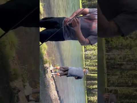 Fishing Yellowstone National Park ;/