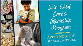 Internship 2025