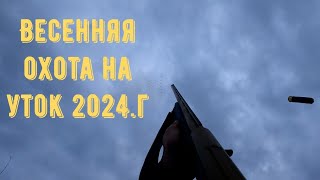 :     2024.