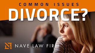 Most Common Issues in New York State Divorce Court Profile