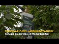 Tropicario del Jardín Botánico: Refugio Biodiverso en Plena Capital - TvAgro por Juan Gonzalo Angel
