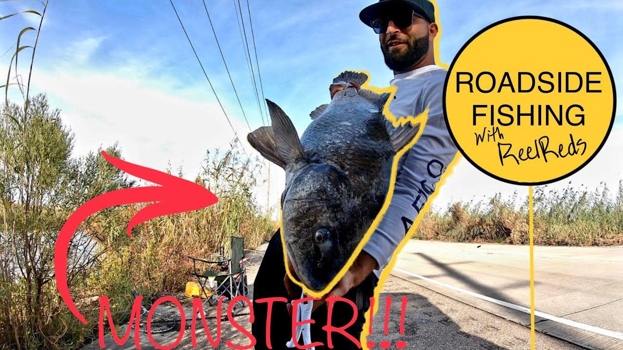 ROADSIDE FISHING for REDFISH AND THIS HAPPENED!