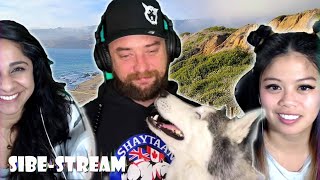 A Different Kind of Hike Hike | Sibe-Stream Podcast 006 by Meeler Husky 208 views 3 years ago 37 minutes