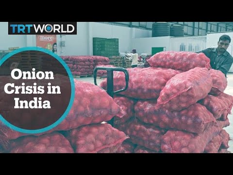 India's Onion Crisis: Onion prices triples in past weeks, supplies constrained
