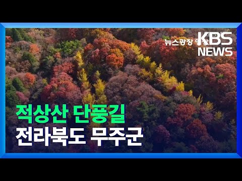 [뉴스광장 영상] <strong>적상산</strong> 단풍길 / KBS  2021.11.12.