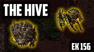EK 156 HIVE SOLO - 1.37KK/H - BEST places to hunt for KNIGHTS