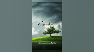 تلاوة خاشعة ومبكية للشيخ محمد صديق المنشاوي من سورة العلق #قرآن #راحة_نفسية #محمد_صديق_المنشاوى