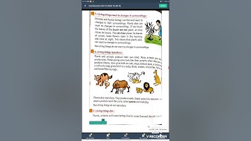Class 3rd lesson 1(living and non-living  things) EVS part-4