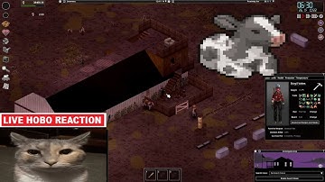 16x pop Project Zomboid: B42 the cows among us