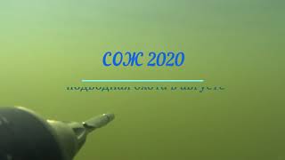 Spearfishing - Сож 2020