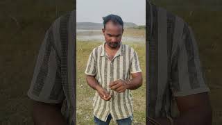 common trinket beby snake 🐍