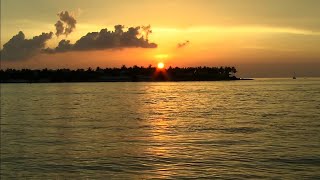 New Miami-Dade mayor outlines plan to protect Biscayne Bay
