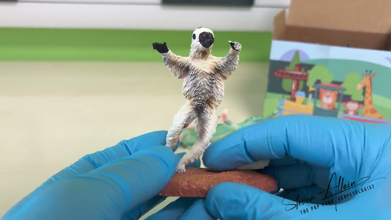 Reviewing the Toymany 12-Piece Madagascar Animal Playset