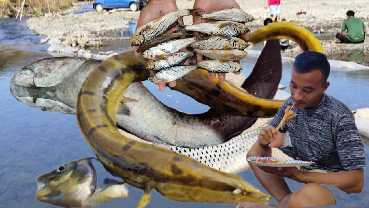 Naga Fish camping and hunting with Friends/different types of fishing/Lots of ...