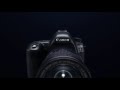Canon EOS 5D Mark IV | First Look