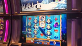 Dashing Dolphins Slot Machine Bonus - Wild Dolphins Feature