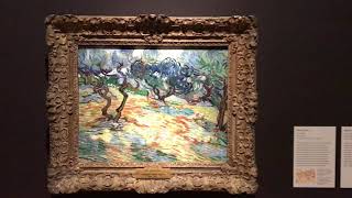 'Van Gogh and the Olive Groves' at the Dallas Museum of Art