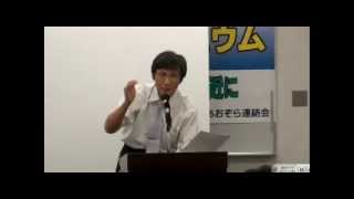 20140915 3 PM2 5シンポ 「PM2.5対策と被害救済」西村隆雄弁護士報告