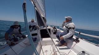 Team Creative - Transpac 2017