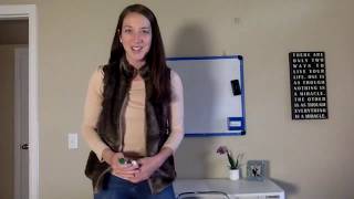 Theme Mini-Lesson