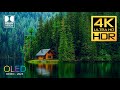 Serene 4K Dolby Vision HDR Video at 60FPS - Nature and Landscape Scenes