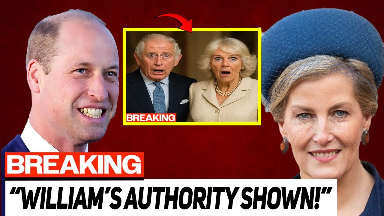 Prince William’s Powerful Decision – Approves Title Change for Duchess Sophie’s Children!