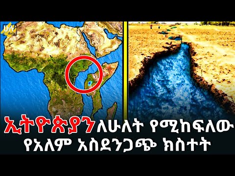 ቪዲዮ: በመሬት ላይ ያሉ ከፍተኛ ማያሚ ካሲኖዎች