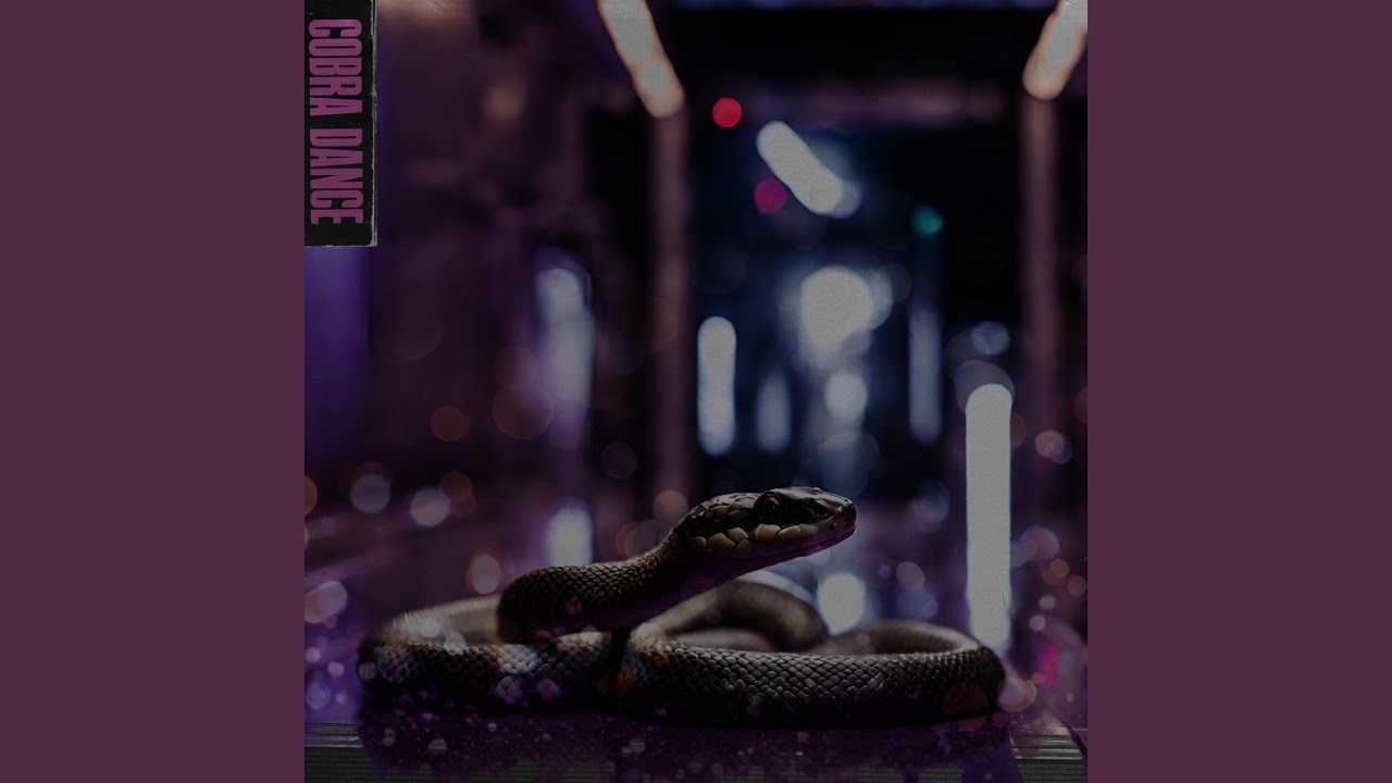 Watch COBRA DANCE on YouTube Watch COBRA DANCE on YouTube