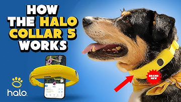 How the New Halo Collar 5 Works | GPS Dog Collar & Wireless Fence (Sep 2025 Update)