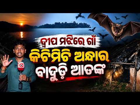 ଓଡ଼ିଶାରେ ଅଛି ଏମିତି ଦ୍ୱୀପ... ସଞ୍ଜ ବାଜିଲେ ସବୁ ଅନ୍ଧାର | Argus Digital