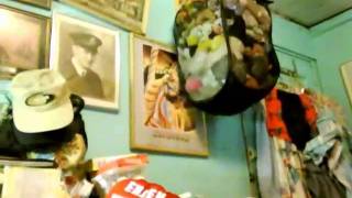 Capture_20100609_1.wmv