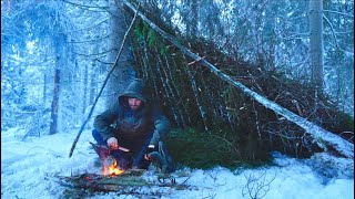 Winter Survival and Bushcraft - Alone in the Bitter Cold