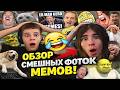 обзор СМЕШНЫХ ФОТОК и МЕМОВ!!! с ИМПЕРАТОРОМ ГТА!!!