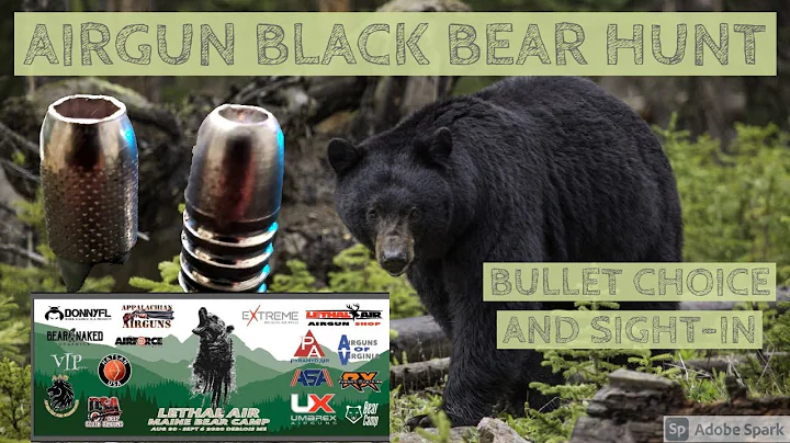 Airgun bear hunt bullet selection and sight-in. Airforce Texan .457 AAO w/carbon bottle lss ss .50