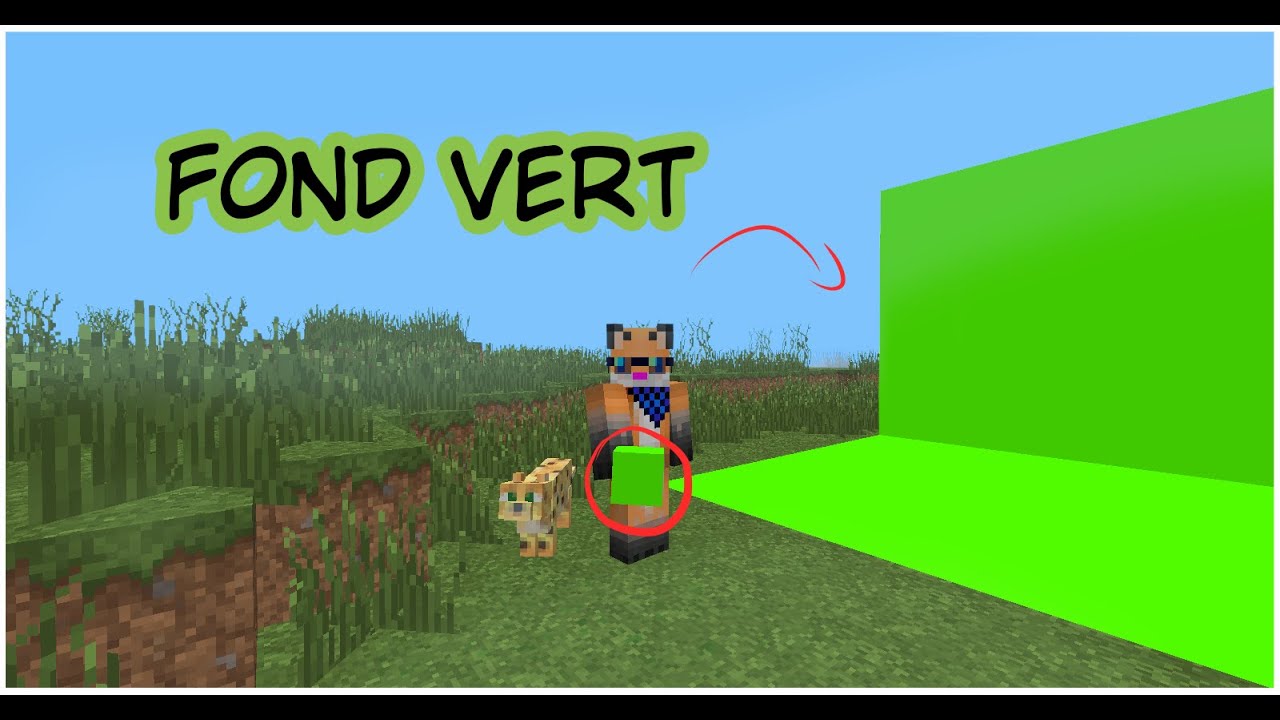 Comment Faire Un Fond Vert Dans Minecraft