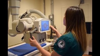 Radiologic Technology Program at NCCC
