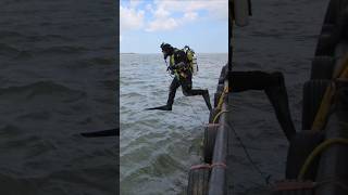 Finding a 360 Year Old Cannon Beneath the Waves 💣 #history #shipwrecks #archaeology