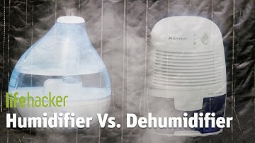 Humidifier VS. Dehumidifier