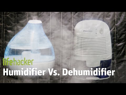 Video: Perbedaan Antara Humidifier Dan Dehumidifier