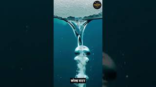 The Icy Finger of Death: Brinicle Mystery Explained! ❄️🌊 | Tathya Tarang#VIRALREEL#HINDIFACTS