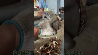 Large stator cutter #Motor dismantling machine #Multi-purpose machine, saving time, effort and labor